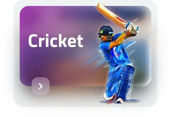 tiger exchange 247